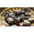 No Pollution Organic Dried Shiitake Mushroom Dried Mushroom